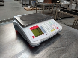 scales Ohaus